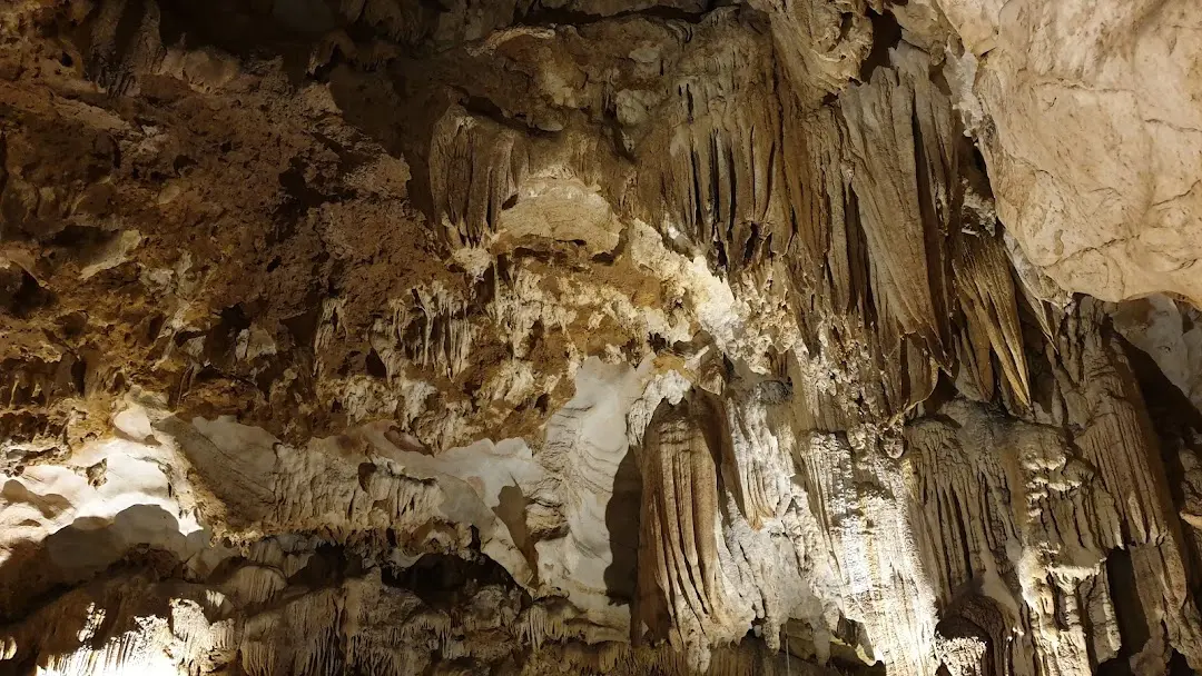 Trải nghiệm Tour du thuyền 5 sao kh&aacute;m ph&aacute; vịnh Lan Hạ c&oacute; g&igrave; hay? 6