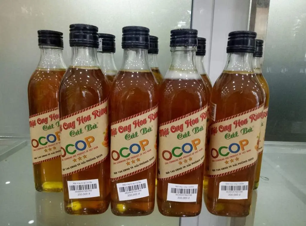Trải nghiệm Tour du thuyền 5 sao kh&aacute;m ph&aacute; vịnh Lan Hạ c&oacute; g&igrave; hay? 5