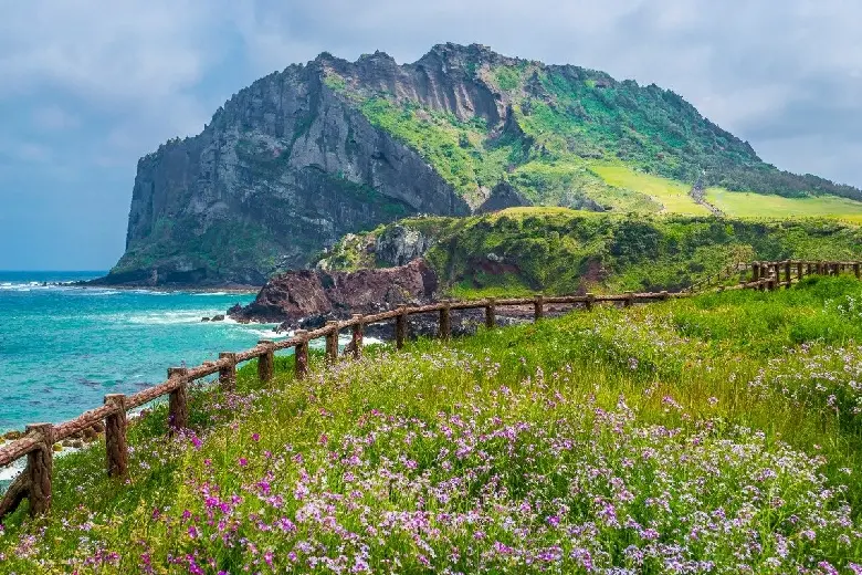 12 biểu tượng Hàn Quốc làm nên dấu ấn văn hóa xứ sở kim chi 5