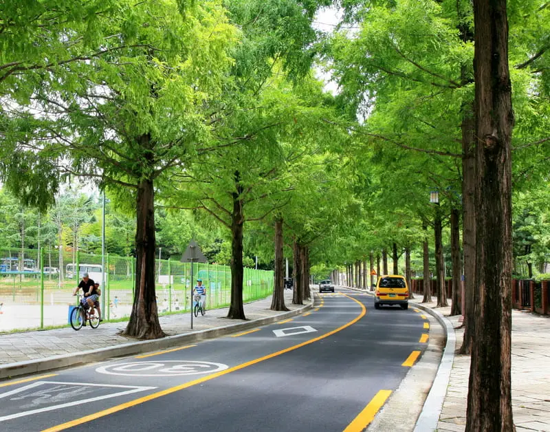 Changwon th&agrave;nh phố thấm đẫm hơi thở nghệ thuật tại H&agrave;n Quốc 6