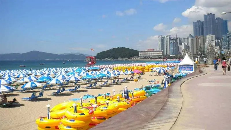 Changwon th&agrave;nh phố thấm đẫm hơi thở nghệ thuật tại H&agrave;n Quốc 3