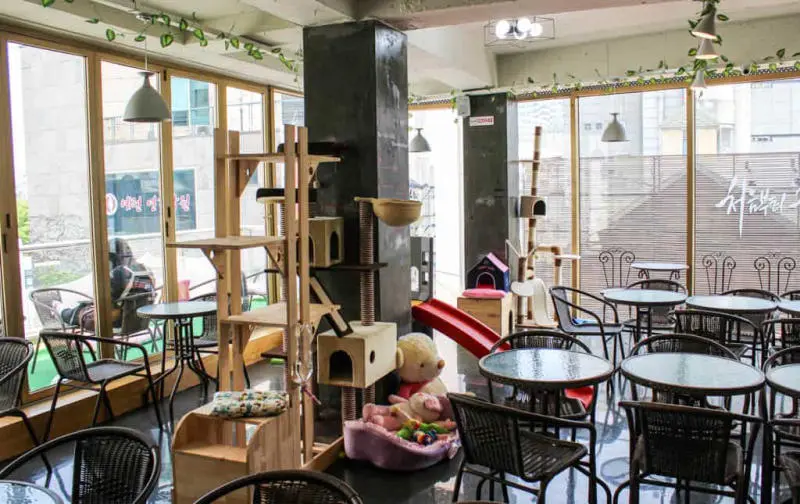Check in thiên đường giải trí Hongdae náo nhiệt tại Hàn Quốc 8