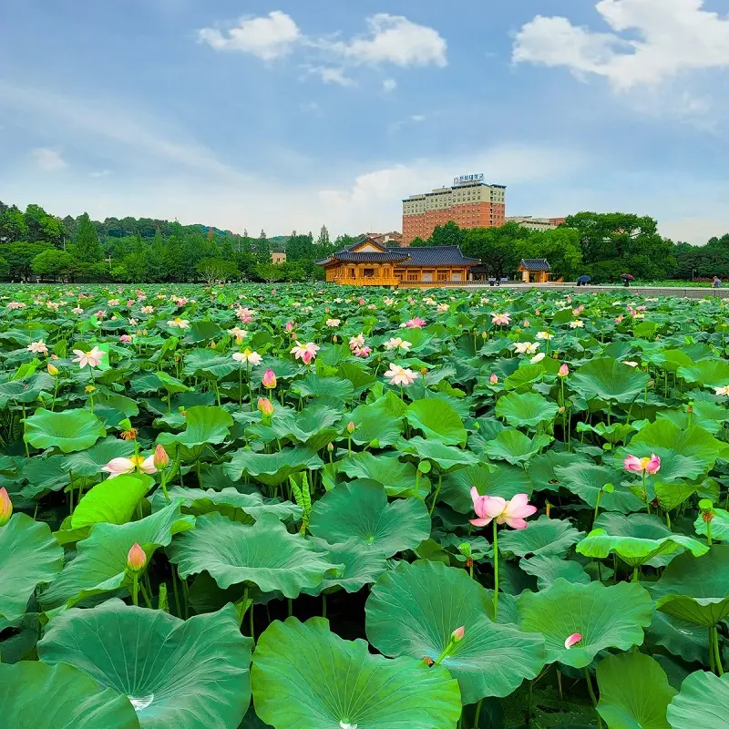 Đến Jeonju tận hưởng nhịp sống chậm tại thủ đ&ocirc; văn h&oacute;a H&agrave;n Quốc 11