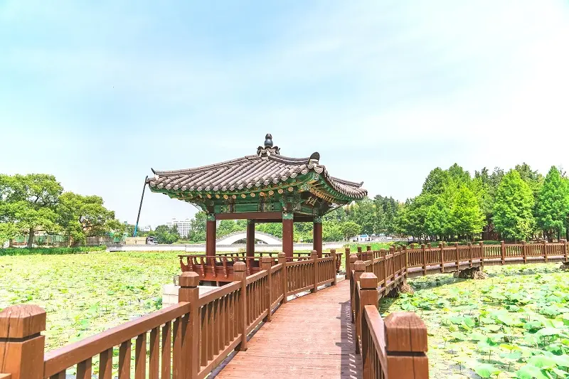 Đến Jeonju tận hưởng nhịp sống chậm tại thủ đ&ocirc; văn h&oacute;a H&agrave;n Quốc 10