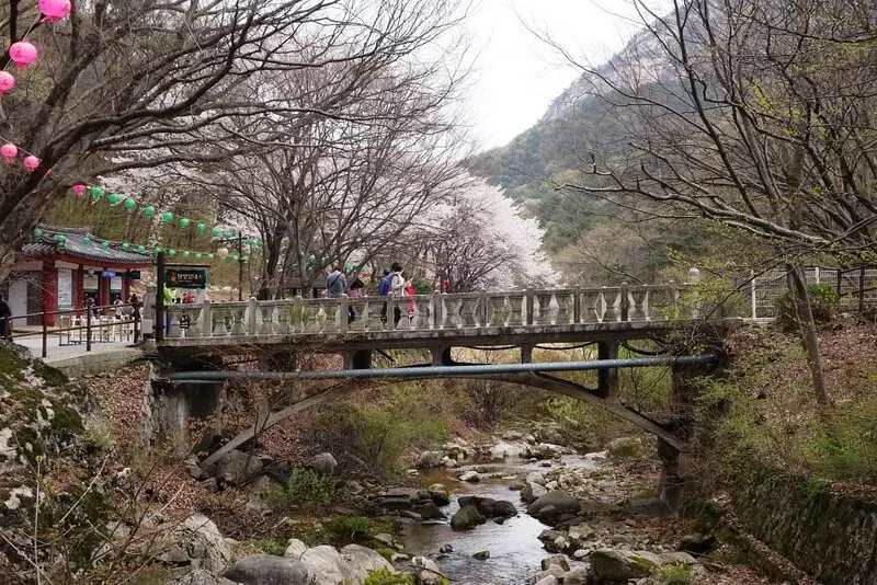 Du lịch Gongju: Cố đô vương triều Baekje với di sản nghìn năm 9