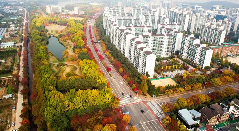 Du lịch Ilsan: Tìm về không gian lãng mạn của thảm xanh yên bình 3