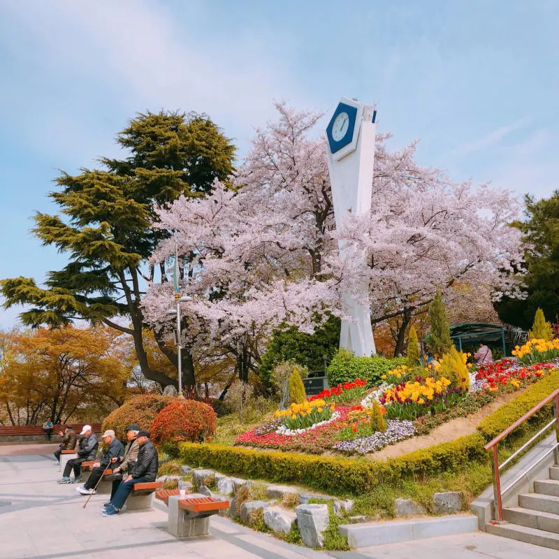 Du lịch Incheon v&agrave; trải nghiệm tất tần tật những điều th&uacute; vị 11
