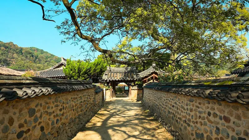 Du ngoạn Sancheong thanh b&igrave;nh, y&ecirc;n ả giữa H&agrave;n Quốc xinh đẹp 6