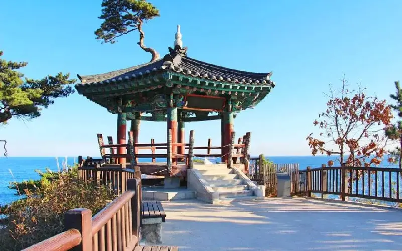 Gangwon Hàn Quốc: Những trải nghiệm nhất định phải thử 3