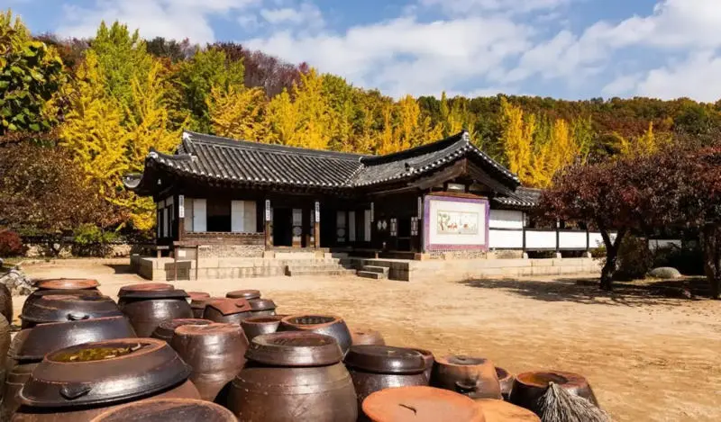 Hành trình tham quan thành phố Yongin Hàn Quốc có gì đặc sắc 5