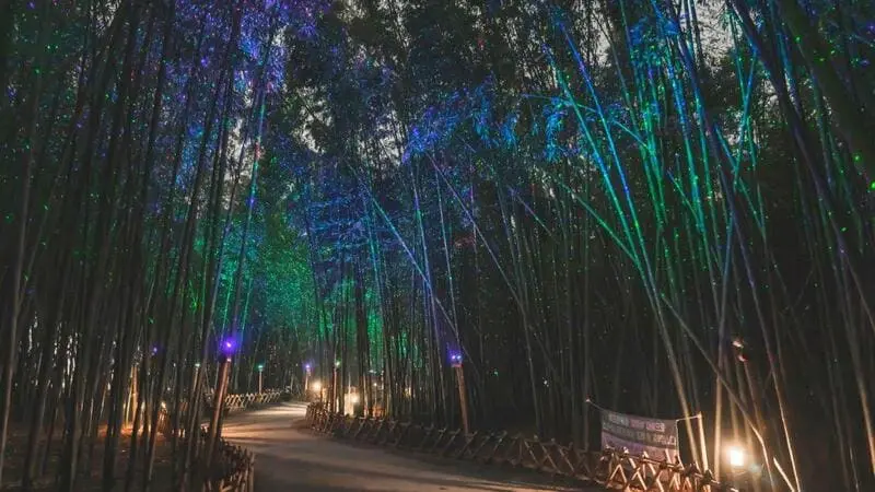 Rực rỡ thanh &acirc;m s&oacute;ng vỗ nơi Ulsan thanh b&igrave;nh 9