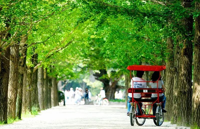 Lịch trình du lịch Hàn Quốc 4 ngày 3 đêm khám phá Seoul trọn vẹn 3