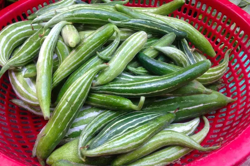 Top 13 đặc sản H&ograve;a B&igrave;nh ăn ngon v&agrave; c&oacute; thể mua về l&agrave;m qu&agrave; 10