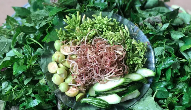 Suối Kho&aacute;ng Kim B&ocirc;i, vi&ecirc;n ngọc qu&yacute; giữa n&uacute;i rừng ph&iacute;a Bắc 11