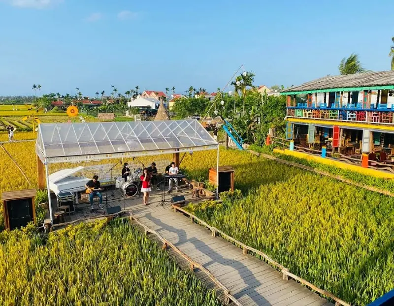 Cập nhật các tiệm cafe view đồng lúa Hội An cực chất