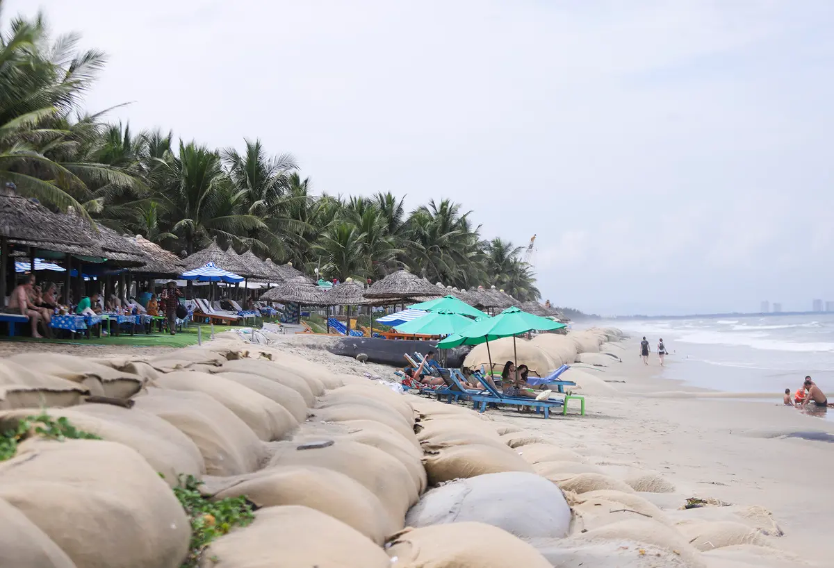 B&aacute;nh ghẹ xanh Hội An - Chưa thưởng thức như chưa từng đến Hội An 12