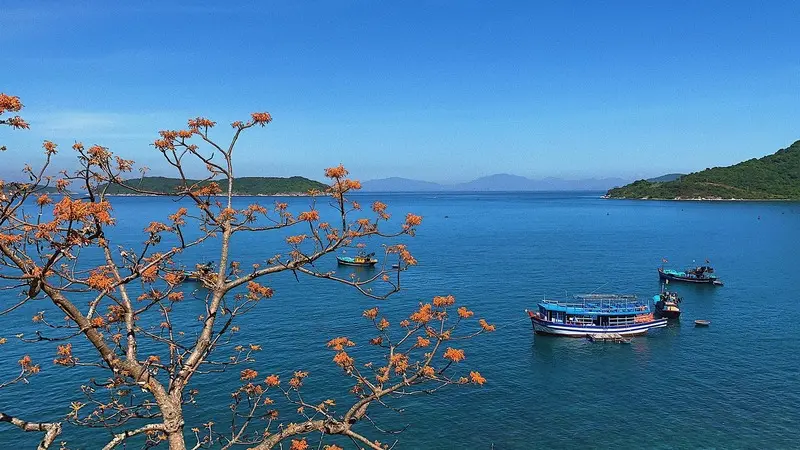 Kinh nghiệm du lịch C&ugrave; Lao Ch&agrave;m trong xanh như thi&ecirc;n đường 5