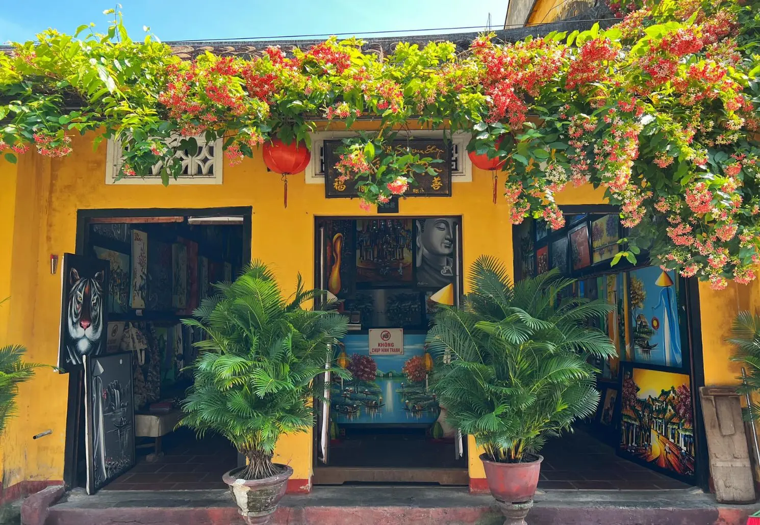 Lang thang Hội An qua từng ng&otilde; ng&aacute;ch c&ugrave;ng c&ocirc; n&agrave;ng Ho&agrave;ng Hoa 8
