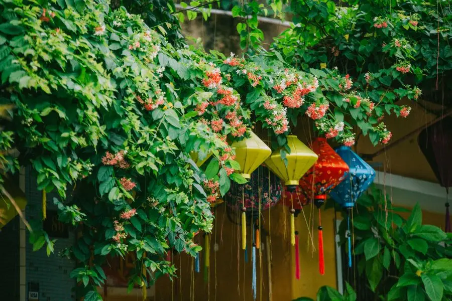 Lang thang Hội An v&agrave; kh&aacute;m ph&aacute; bức tranh rực rỡ xứ thương cảng 7