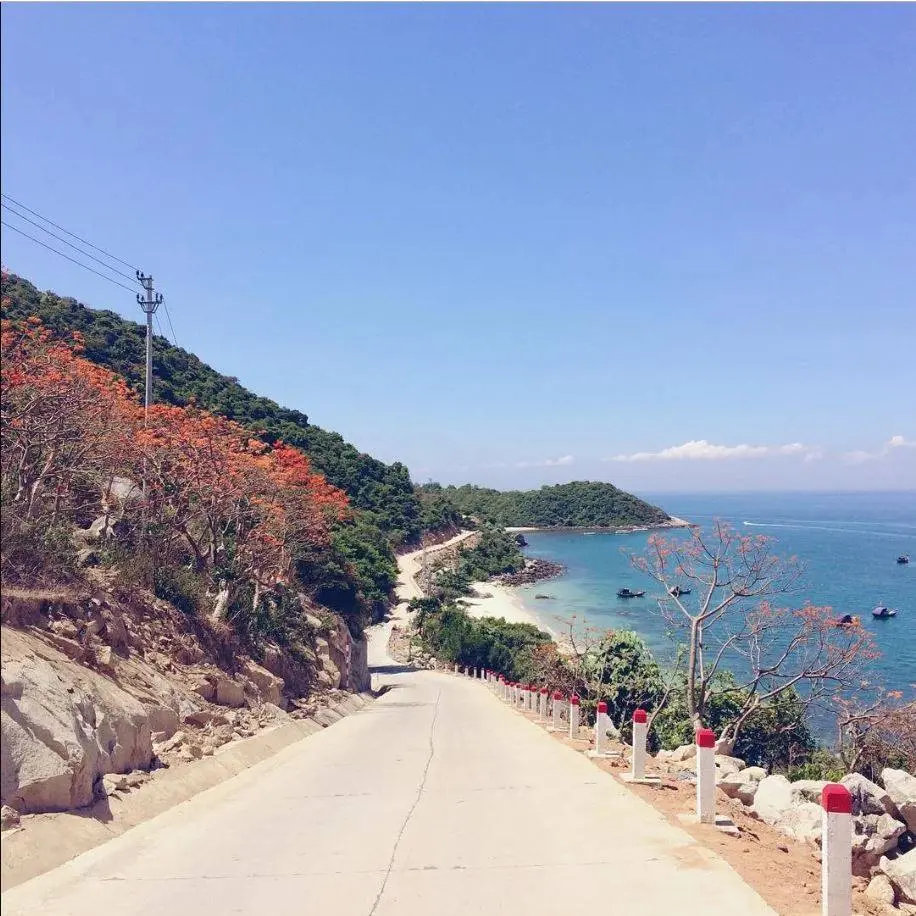Nàng thơ Cù Lao Chàm xinh đẹp giữa sắc hoa ngô đồng qua loạt hình check-in của Trần Hà Luận Thanh 2