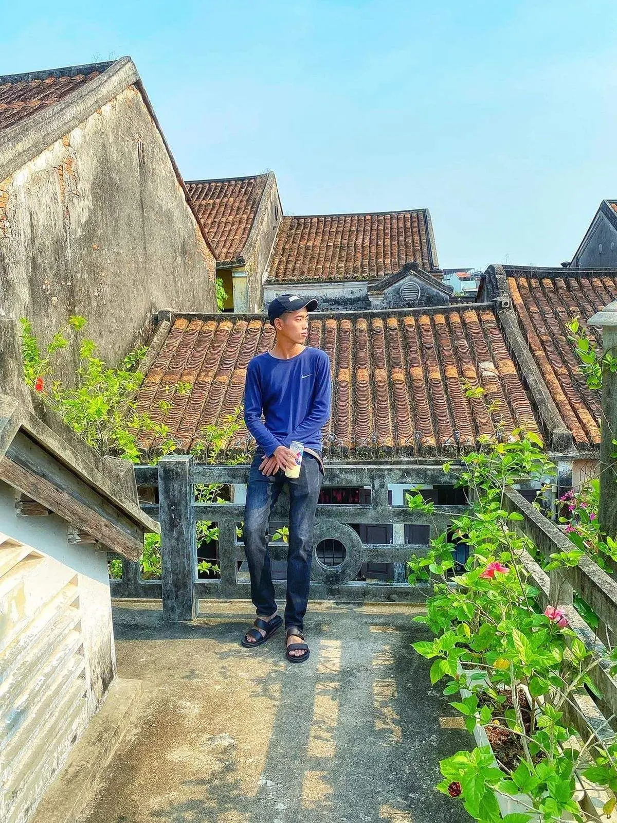 Những giàn hoa sử quân tử ở Hội An, vẻ đẹp rực rỡ đầy lãng mạn 2