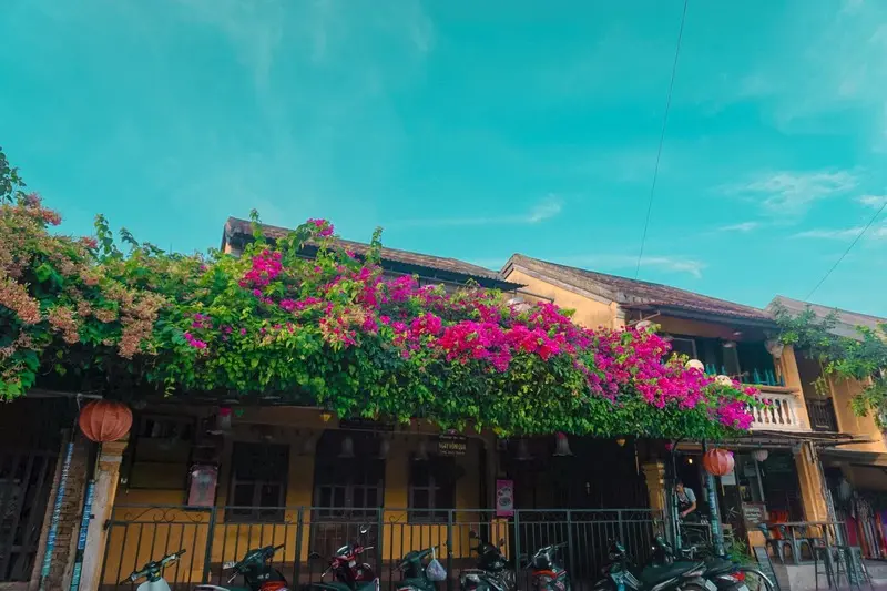 Phố cổ Hội An, vẻ đẹp b&igrave;nh dị m&agrave; bạn kh&ocirc;ng n&ecirc;n bỏ lỡ 2