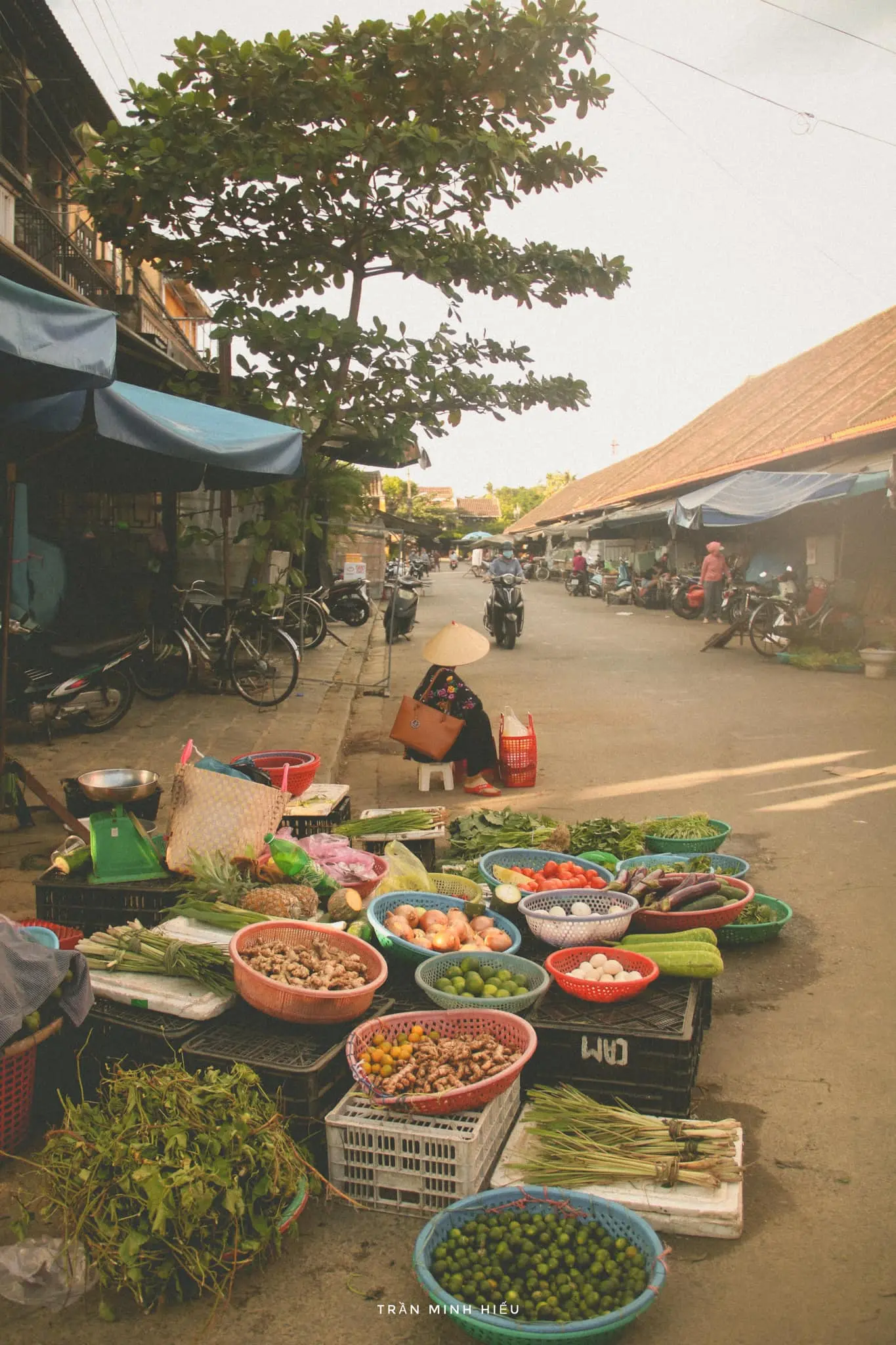 Review Hội An b&igrave;nh y&ecirc;n qua lăng k&iacute;nh của ch&agrave;ng trai Trần Minh Hiếu 7