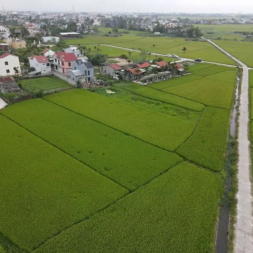 Roving Chillhouse - Lạc lối giữa c&aacute;nh đồng l&uacute;a thơ mộng của Hội An c&ugrave;ng 9x Đỗ Phương 2