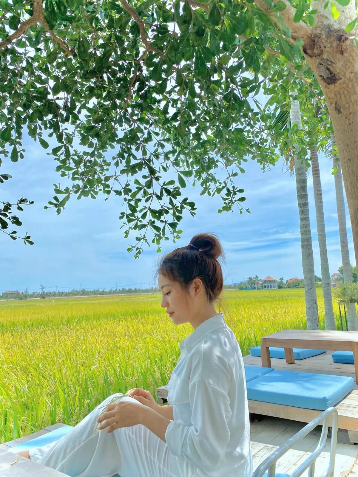 Roving Chillhouse - Lạc lối giữa c&aacute;nh đồng l&uacute;a thơ mộng của Hội An c&ugrave;ng 9x Đỗ Phương 7