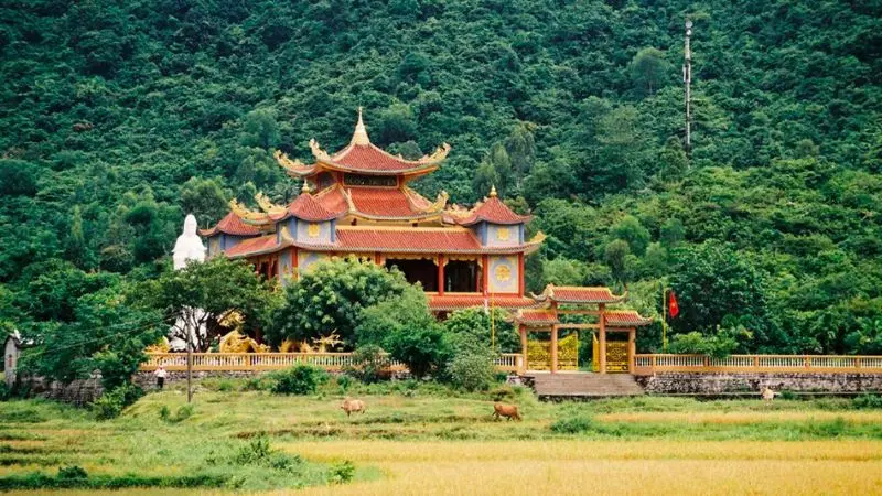 Gợi &yacute; Lịch tr&igrave;nh Tour C&ugrave; Lao Ch&agrave;m 1 ng&agrave;y l&yacute; tưởng nhất 6