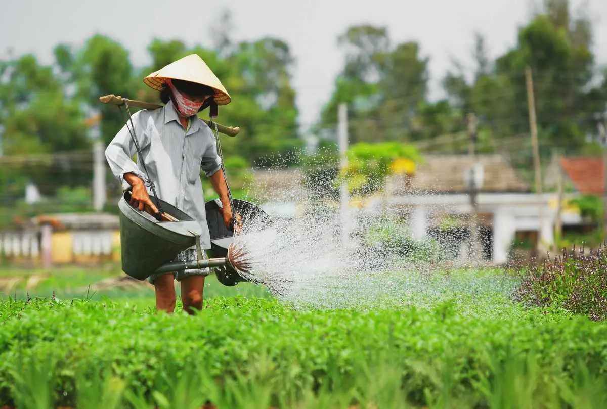 Lịch trình nửa ngày khám phá Hội An với những trải nghiệm mới toanh 13
