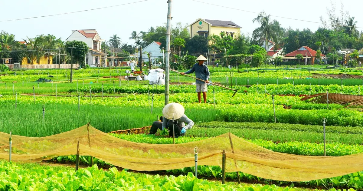 M&aacute;ch bạn lịch tr&igrave;nh tham quan Ngũ H&agrave;nh Sơn Hội An 1 ng&agrave;y đầy l&yacute; th&uacute; 12
