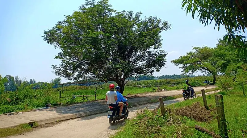 Nửa ng&agrave;y l&agrave; đủ để kh&aacute;m ph&aacute; l&agrave;ng qu&ecirc; Hội An bằng xe m&aacute;y 7