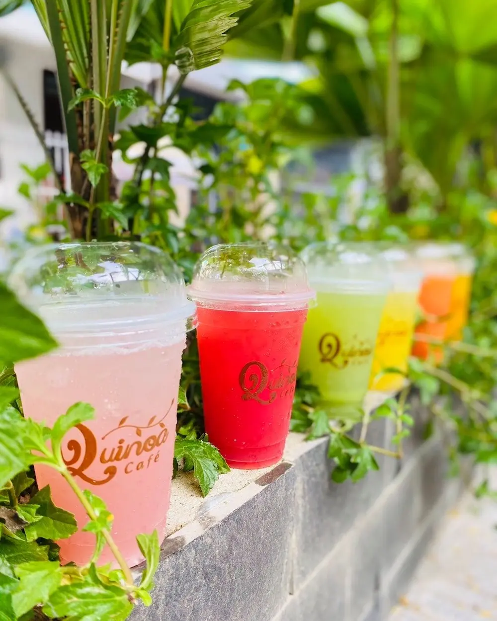 Dịch không vi vu nước ngoài được thì ghé Quinoa Café để có ảnh check-in như ở trời Tây 4