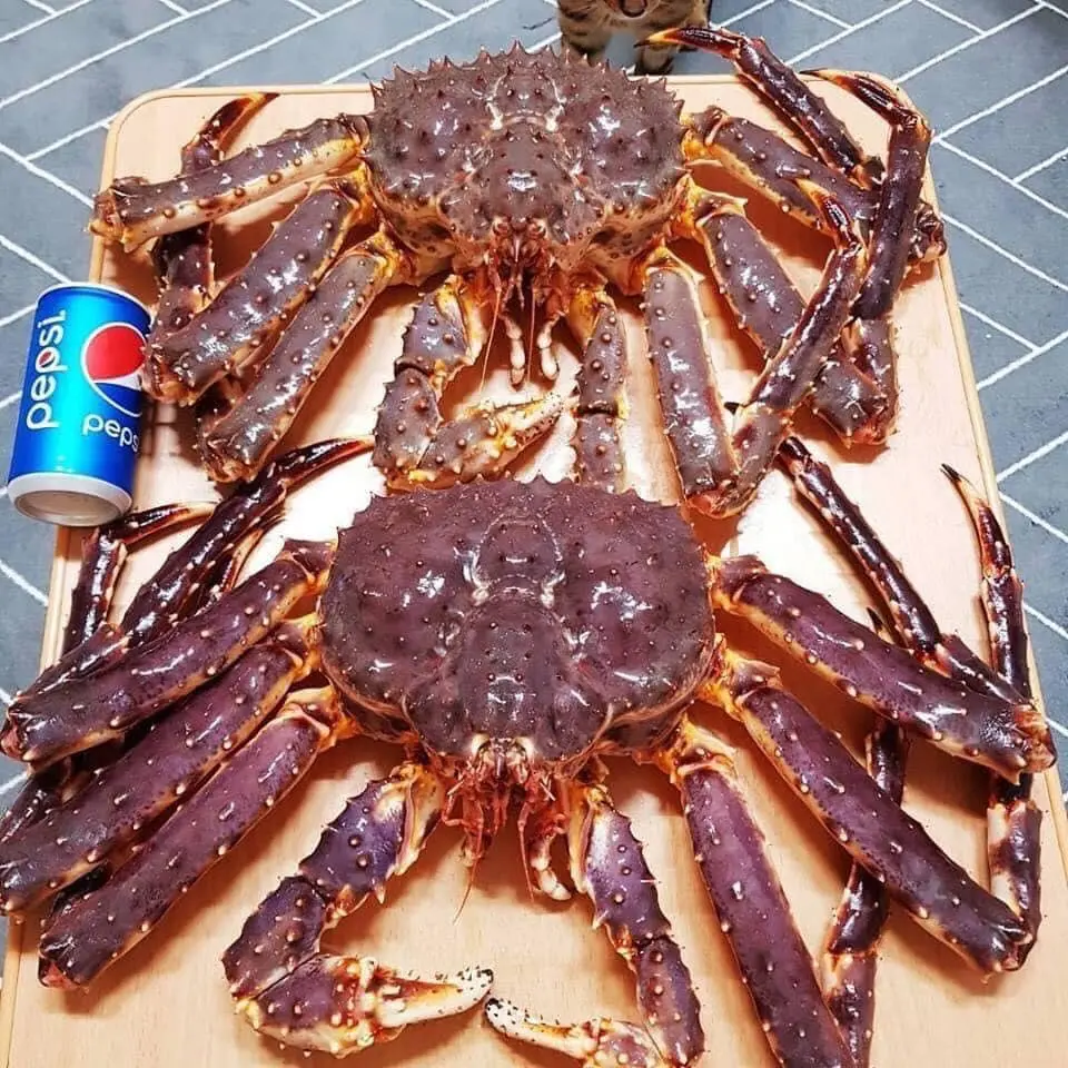 Muốn ăn cua ho&agrave;ng đế ngon, đến ngay Nh&agrave; h&agrave;ng Queen's Crab Huế! 6