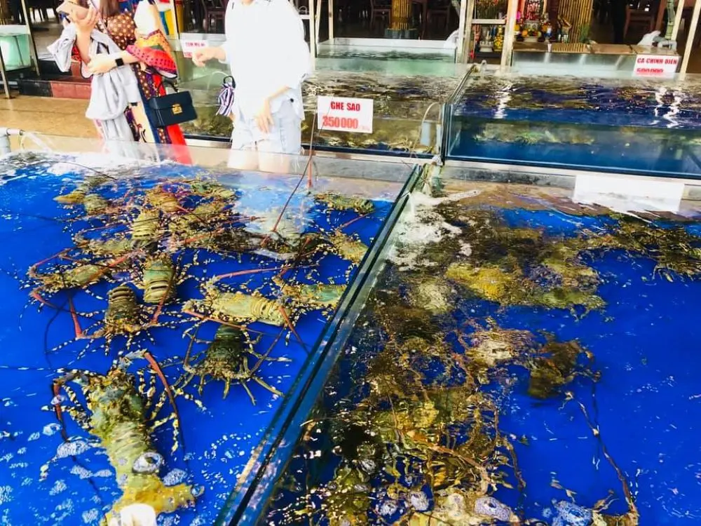 Trải nghiệm kh&ocirc;ng gian ẩm thực mới lạ ở Nh&agrave; h&agrave;ng hải sản VietPearl 4