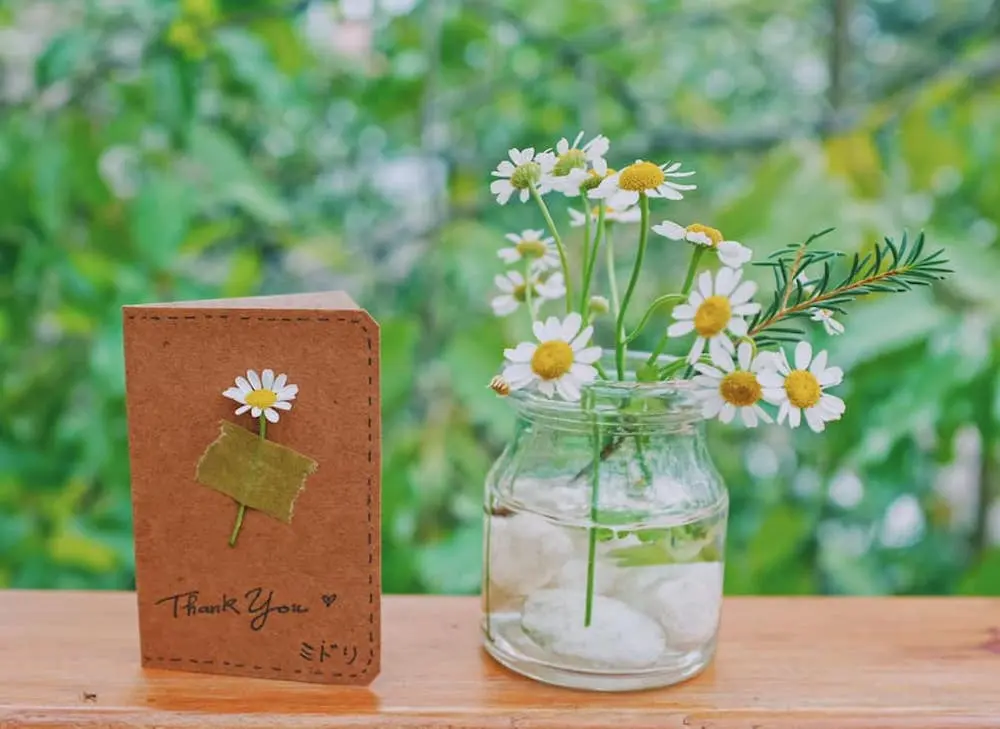 U m&ecirc; kh&ocirc;ng lối tho&aacute;t phong c&aacute;ch Nhật Bản của Midori Sweets 3