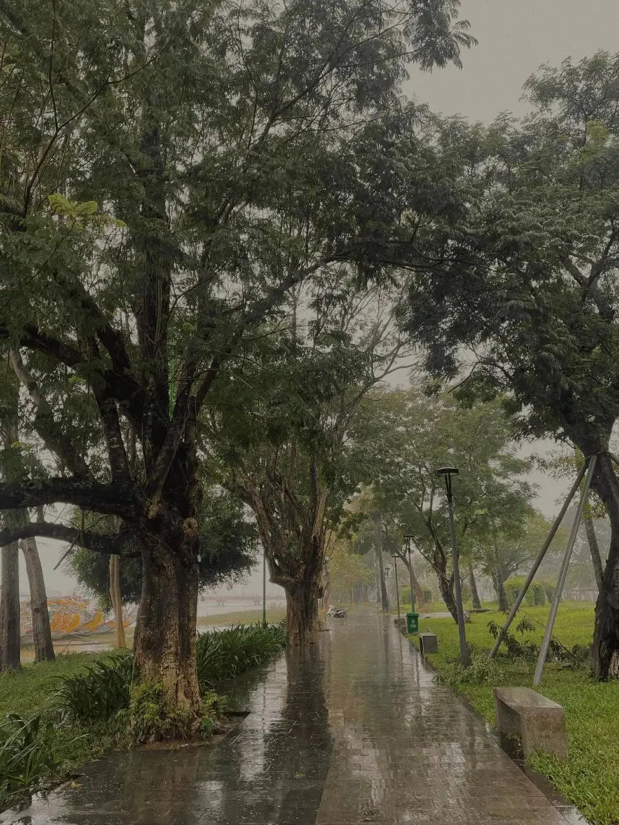 C&oacute; một Huế ng&agrave;y mưa đẹp đến xao xuyến nỗi l&ograve;ng 4