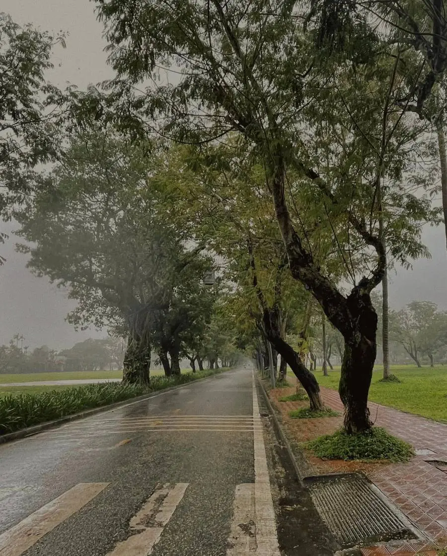 C&oacute; một Huế ng&agrave;y mưa đẹp đến xao xuyến nỗi l&ograve;ng 5