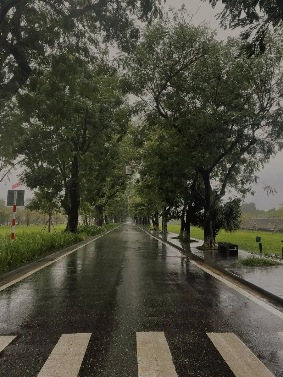 C&oacute; một Huế ng&agrave;y mưa đẹp đến xao xuyến nỗi l&ograve;ng 2
