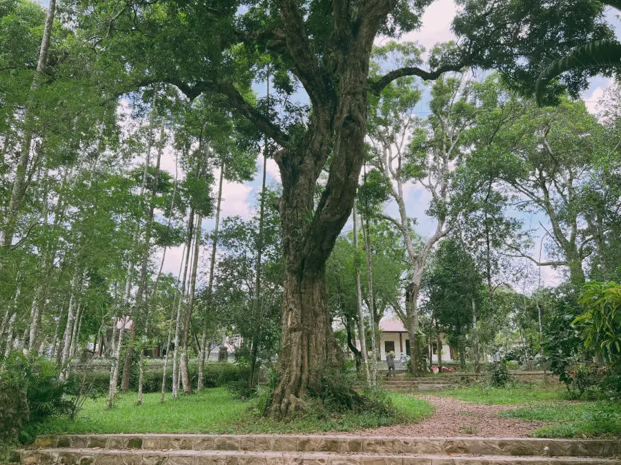 Đến Chùa Từ Hiếu chiêm ngưỡng ngôi cổ tự độc đáo của Cố đô Huế 7