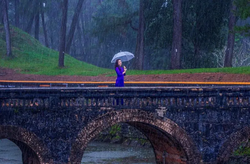 Đi Huế mùa nào đẹp? Hành trình đi tìm mùa đẹp nhất của cố đô 7
