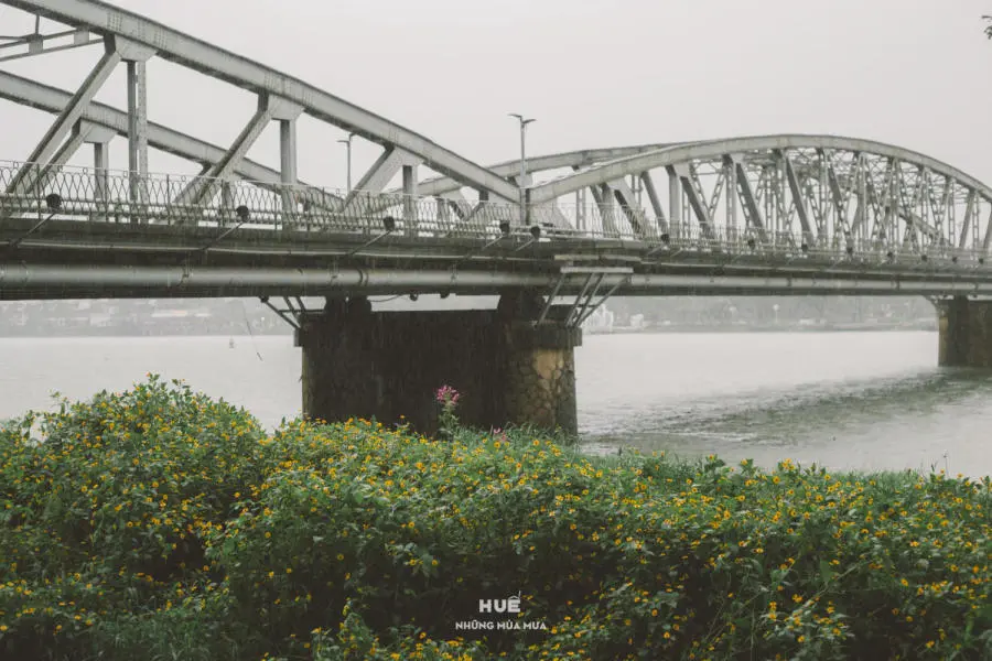 Ngắm nhìn Huế những mùa mưa buồn man mác 3