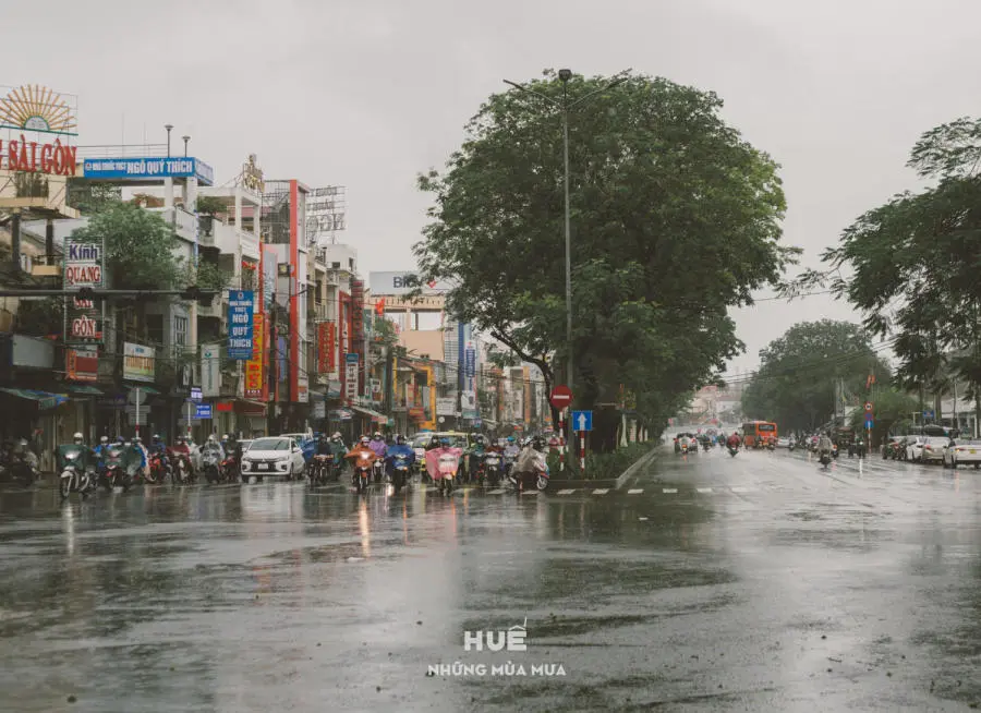 Ngắm nhìn Huế những mùa mưa buồn man mác 5