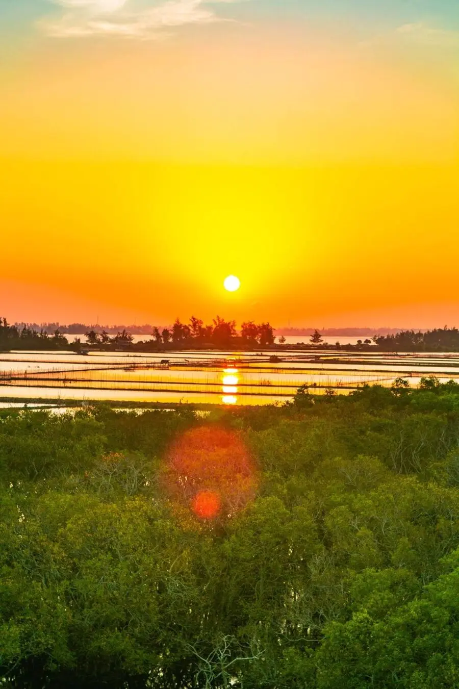 Rừng Rú Chá vào thu, không gian nguyên sơ vùng ngoại thành xứ Huế 2