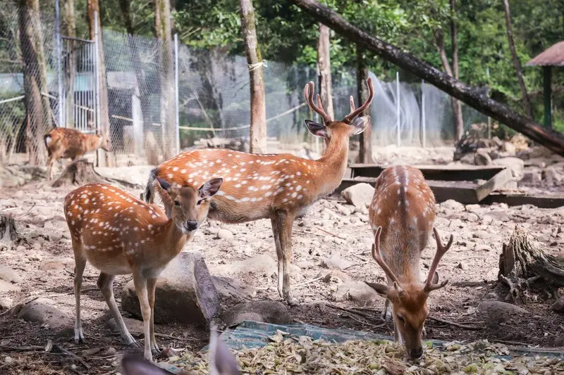 Suối kho&aacute;ng n&oacute;ng Alba Thanh T&acirc;n: Review tọa độ 4