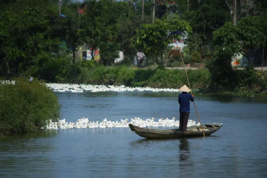 Về Ph&aacute; Tam Giang kh&aacute;m ph&aacute; n&eacute;t đẹp b&igrave;nh dị trong một ng&agrave;y lang thang Huế 8