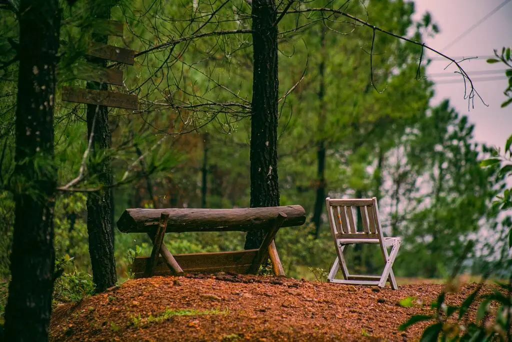 Mách nhỏ lịch trình Huế tự túc 3N3Đ vừa tiết kiệm vừa chiêm nghiệm 3
