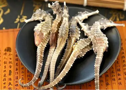 C&aacute; ngựa kh&ocirc; - Thần dược qu&yacute; đến từ v&ugrave;ng biển Nha Trang 3