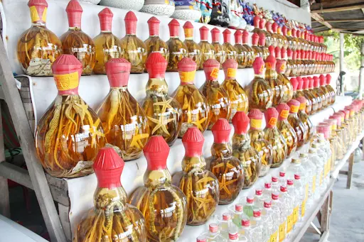 C&aacute; ngựa kh&ocirc; - Thần dược qu&yacute; đến từ v&ugrave;ng biển Nha Trang 4